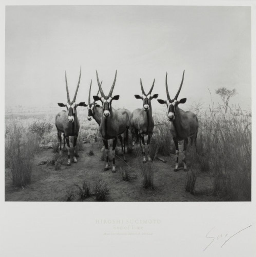 オフセット Sugimoto - Gemsbok (End of Time exhibition poster)