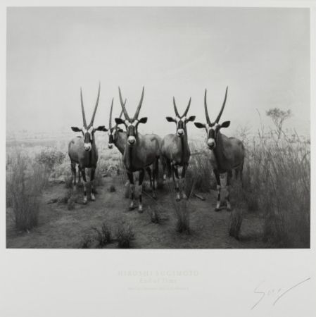 オフセット Sugimoto - Gemsbok (End of Time exhibition poster)