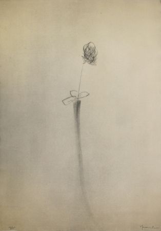ポイントーセッシュ Hernandez Pijuan - Gerro i flor (Vase and Flower)