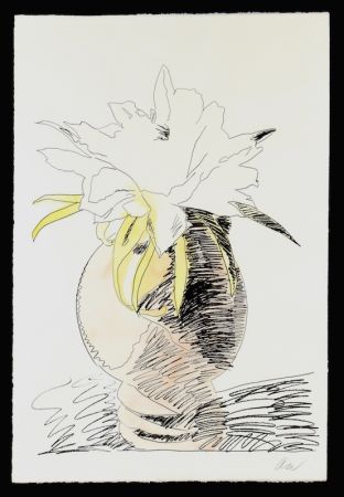 シルクスクリーン Warhol - Hand Colored Flowers III.114