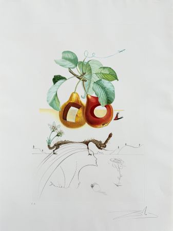 リトグラフ Dali - Holed Fruit from Flordali suite