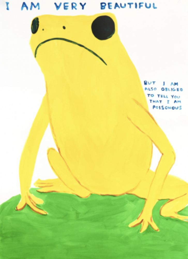 シルクスクリーン Shrigley - I Am Very Beautiful