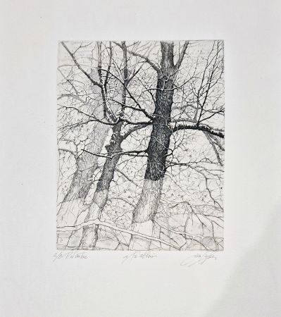 エッチング Ceschin - I tre alberi