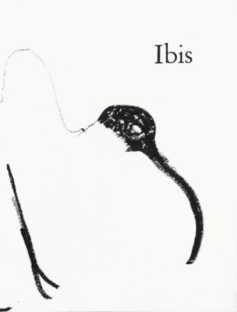 リトグラフ Aillaud - Ibis