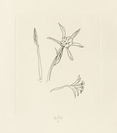 彫版 Flanagan - Ibiza Meadow Flower