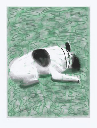 多数の Hockney - IPad drawing - Moujik