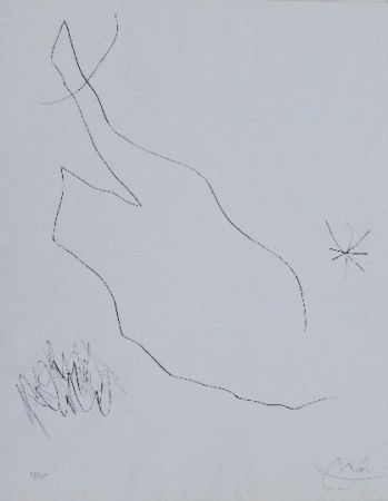 ポイントーセッシュ Miró - Journal d'un graveur 1