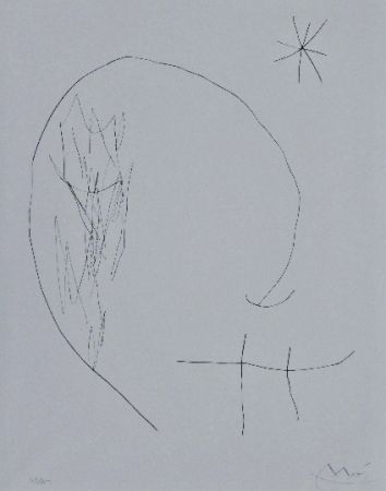 ポイントーセッシュ Miró - Journal d'un graveur 2