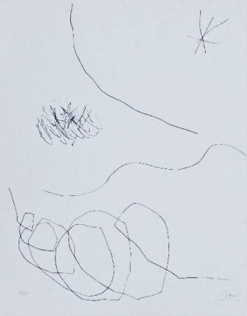 ポイントーセッシュ Miró - Journal d'un graveur 3