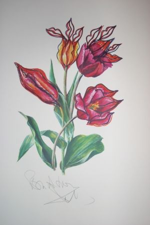 リトグラフ Dali - Kissing Tulips (surrealistic flowers)