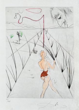 彫版 Dali - La Femme au fouet