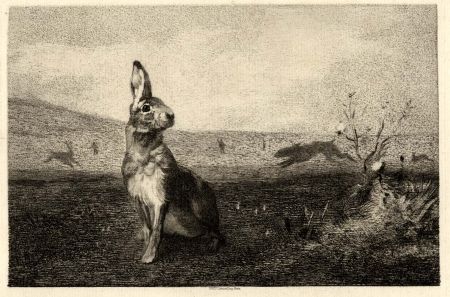 彫版 Bracquemond - La lièvre (The Hare)