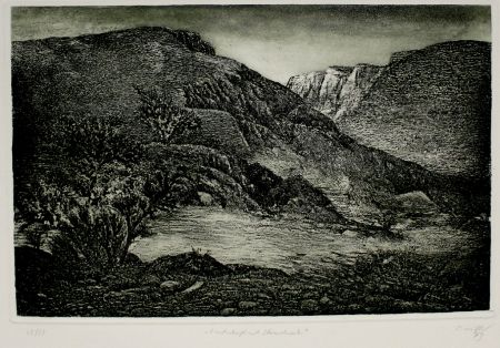 エッチングと　アクチアント Müller - Landschaft mit Strauchwerk / Landscape with Bushes