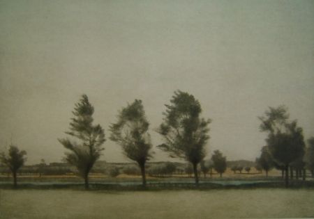 メゾチント彫法 Ilsted - Landskab fra Falster - Landscape at Falster