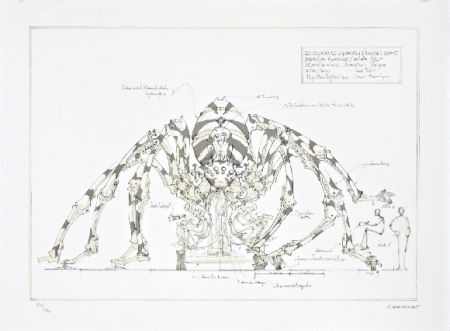 リトグラフ Delarozière - L'araignée géante