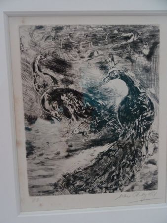 エッチング Chagall - Le Geai pare des plumes  du Paon