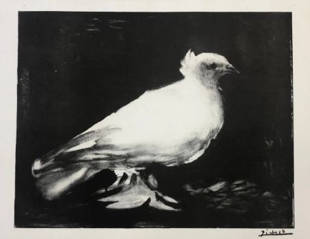 リトグラフ Picasso - Le petite colombe