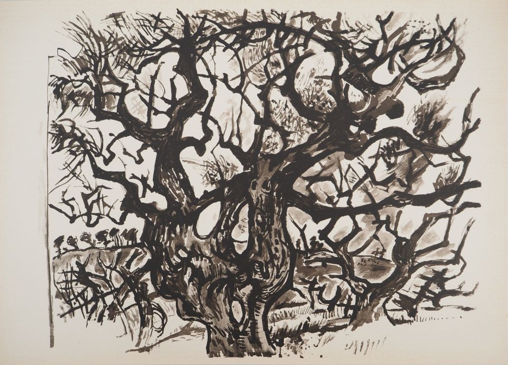 リトグラフ Pignon - Le vieil arbre