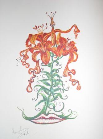 リトグラフ Dali - Lilium aurancacium (surrealistic flowers)