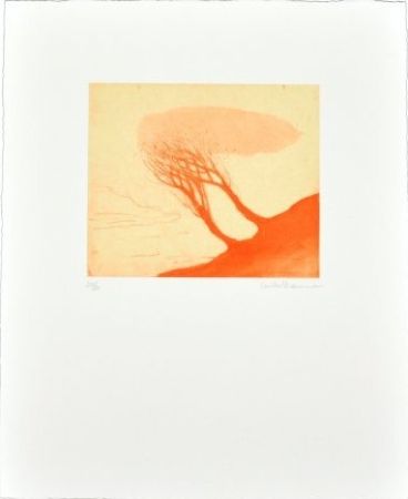 多数の Ikemura - Los árboles rojos