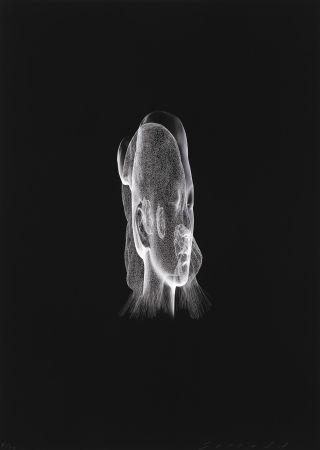 デジタル版画 Plensa - Lumière invisible Rui Rui