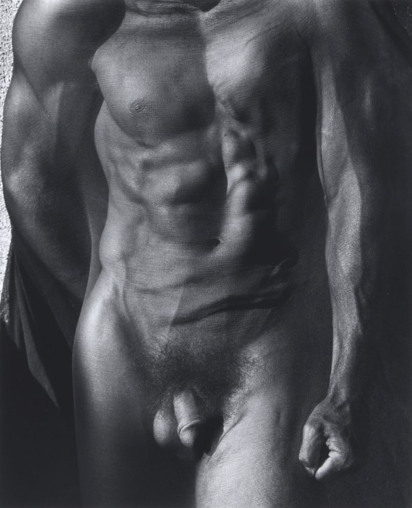 写真 Ritts - Male Torso with Veil (Tight), Silverlake