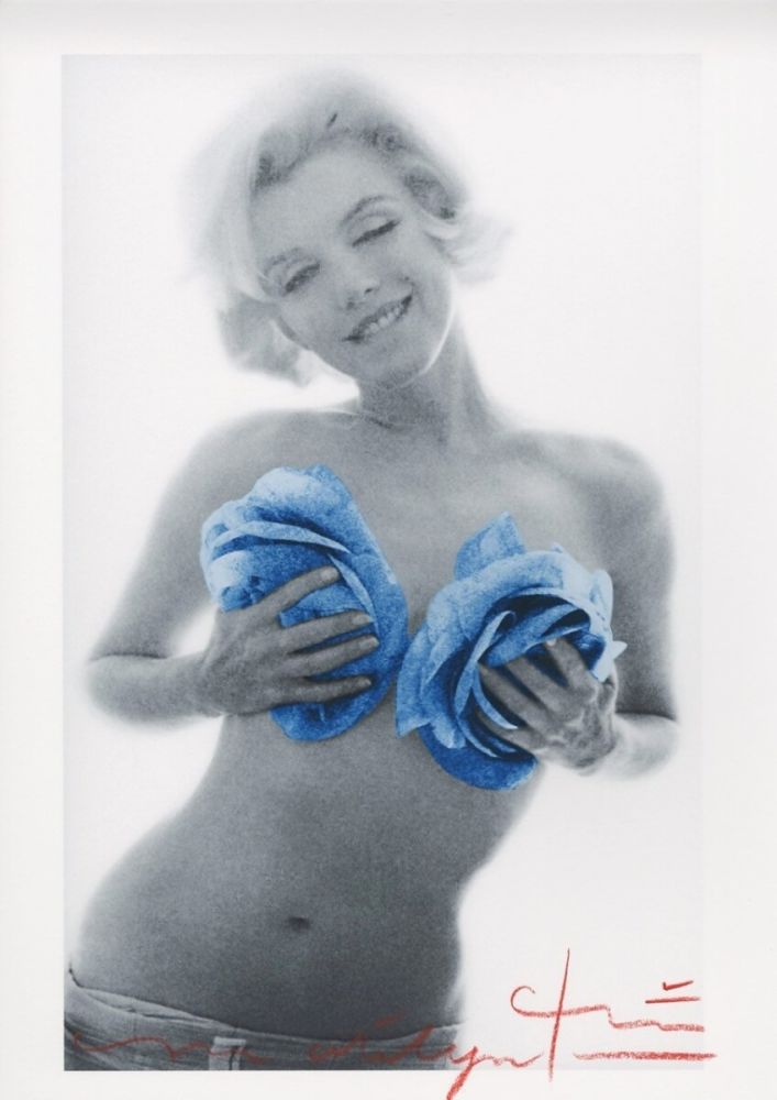 多数の Stern - Marilyn Monroe blue wink roses