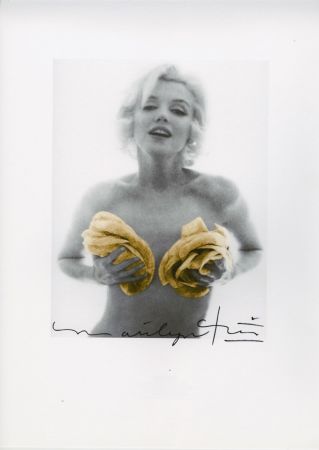 多数の Stern - Marilyn Monroe yellow roses