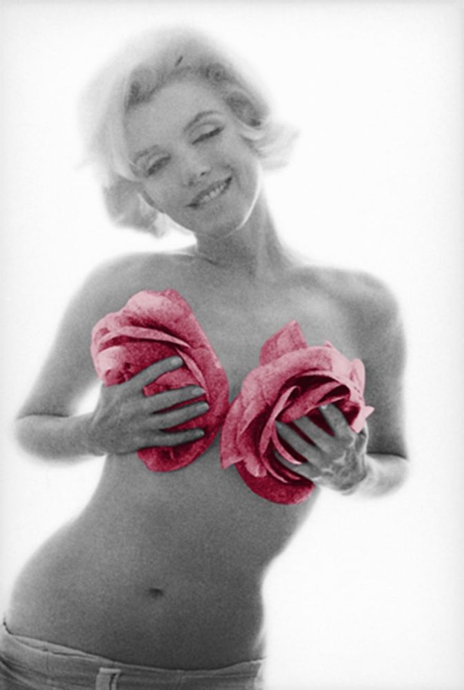写真 Stern - Marilyn Pink Roses Large