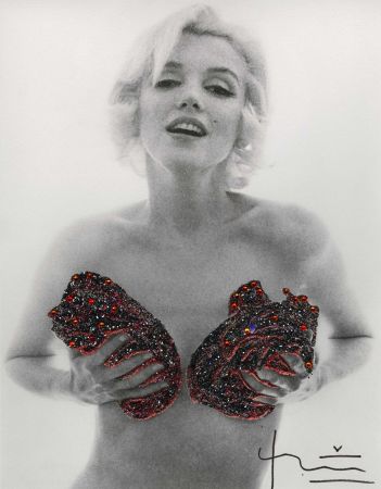写真 Stern - Marilyn Red Classic Charcoal Roses