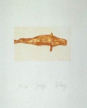 エッチングと　アクチアント Beuys - Meerengel Robbe I
