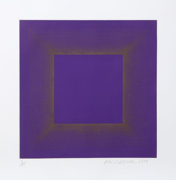 アクチアント Anuszkiewicz - Midnight Suite (Purple with Silver)