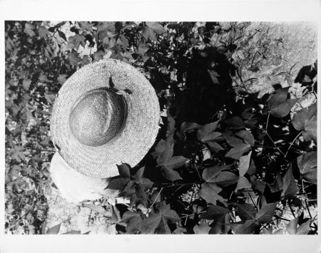 写真 Evans - Mississippi