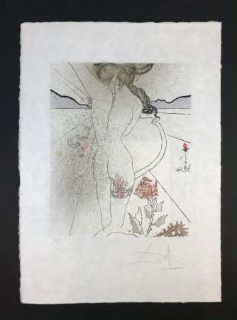 多数の Dali - Nu à la jarretiére ( Nude with Garter )