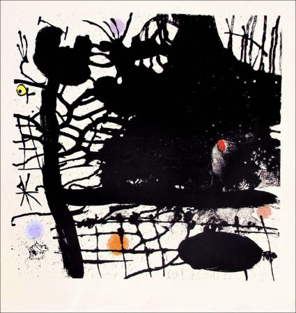 リトグラフ Miró - Nuit tentaculaire