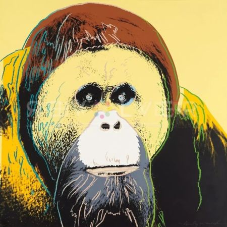 シルクスクリーン Warhol - Orangutan 299