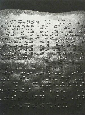 写真 Fontcuberta - Paisatge braille