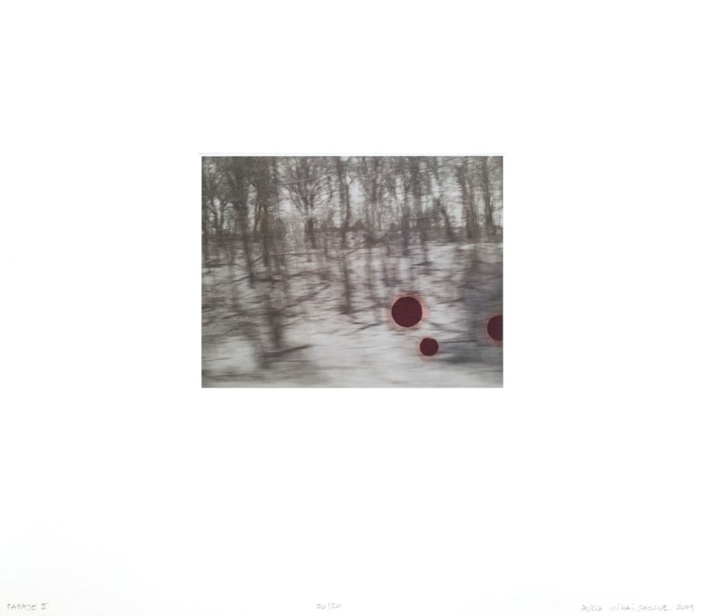 多数の Mihai Gazcue - Pasaje II