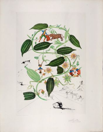 彫版 Dali - Passiflora Lariguera, 1969 - Hand-signed!