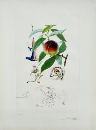リトグラフ Dali - Penitent Peach-tree from Flordali suite