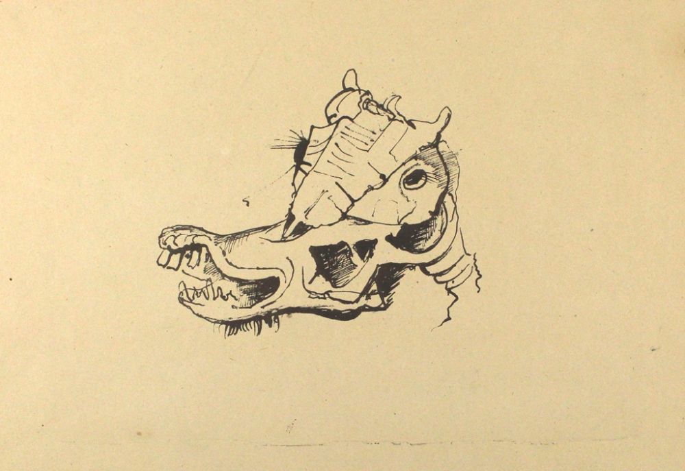 リトグラフ Hofer - Pferdeschädel / Horse Skull