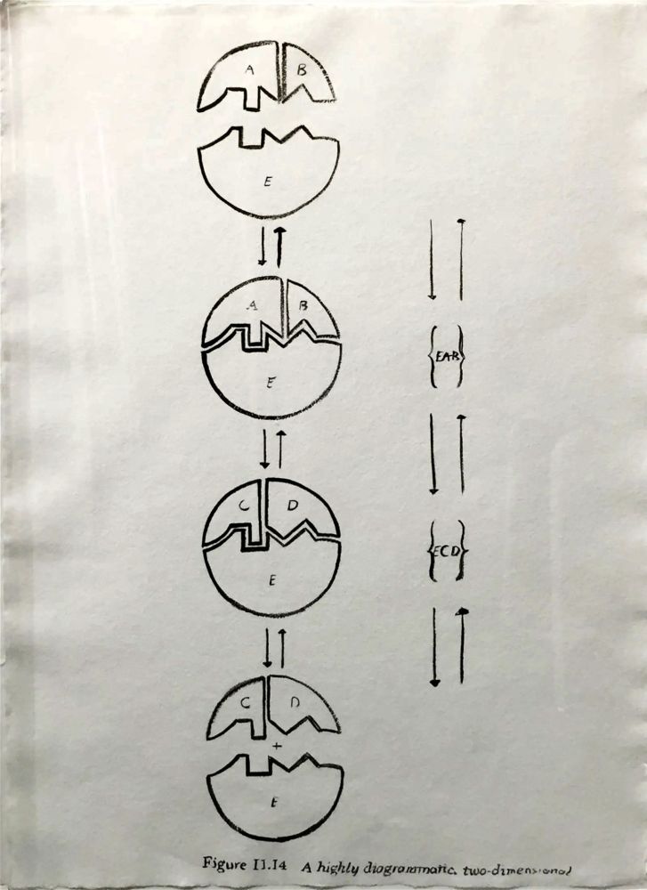多数の Warhol - Physiological Diagram