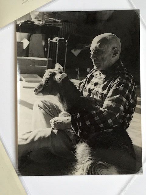 写真 Quinn - Picasso sa chèvre dans les bras à la Californie