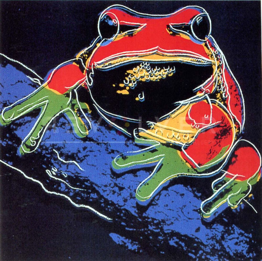 シルクスクリーン Warhol - Pine Barrens Tree Frog (FS II.294)