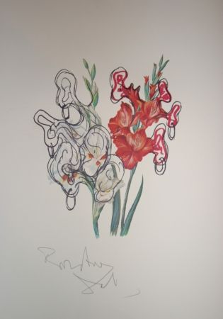 リトグラフ Dali - Pirates Gladioli (surrealistic flowers)