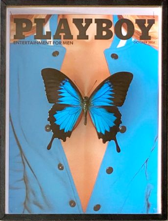 オフセット Pietri - Playboy Blue