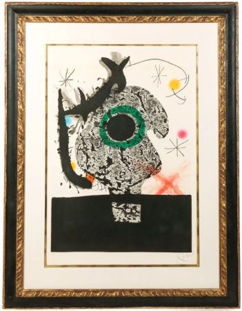 アクチアント Miró - Polypheme