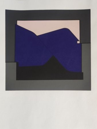 シルクスクリーン Vasarely - Poprad