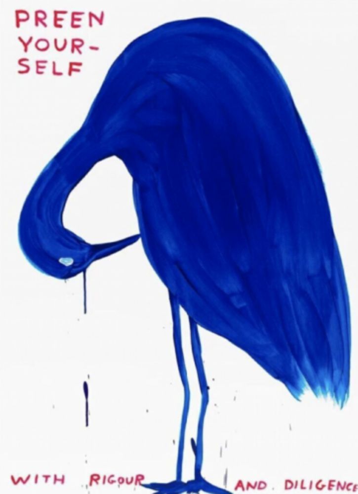 シルクスクリーン Shrigley - Preen Yourself