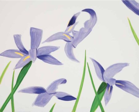 技術的なありません Katz - Purple Irises on White